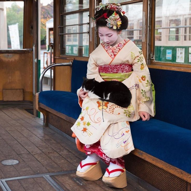 Maiko with a cat on a train